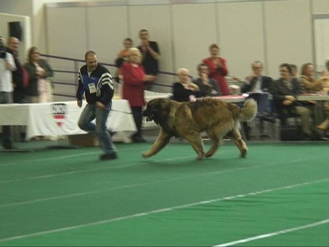 Salzburg Clubschau Mai 06 157 